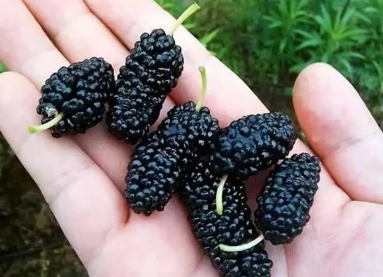 1624257131932996.png f473fc3a3884b1a99a04bfae3112858.png