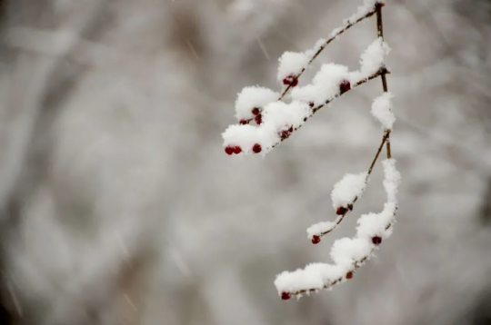 2022年的第一场雪