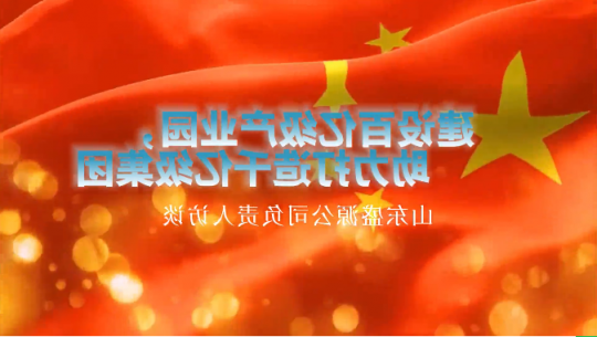 主题教育访谈丨陈宏：盛源控股建设百亿产业园，助力打造千亿级集团
