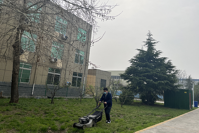 1648650826942030.jpg 修剪草坪.jpg