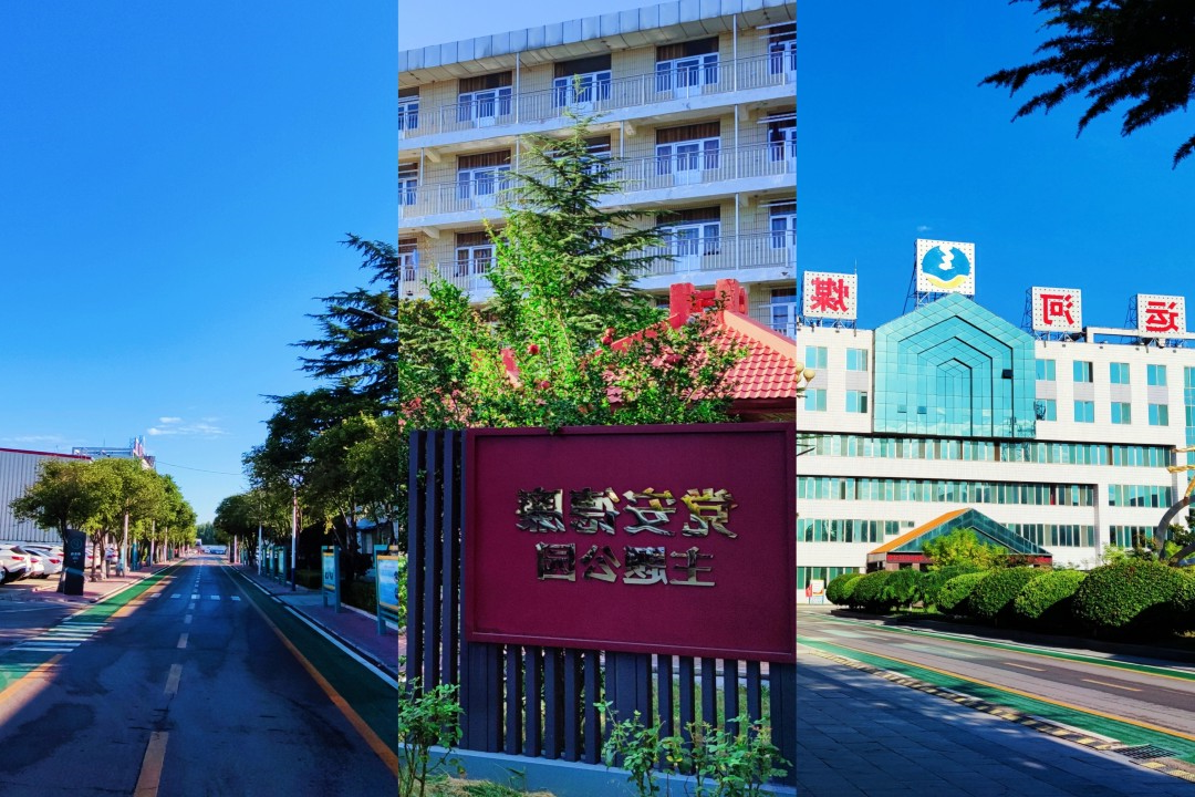 1693796771135283.jpg 4.jpg