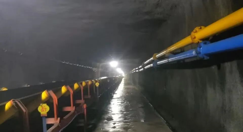 1706494811121220.jpg 3.jpg