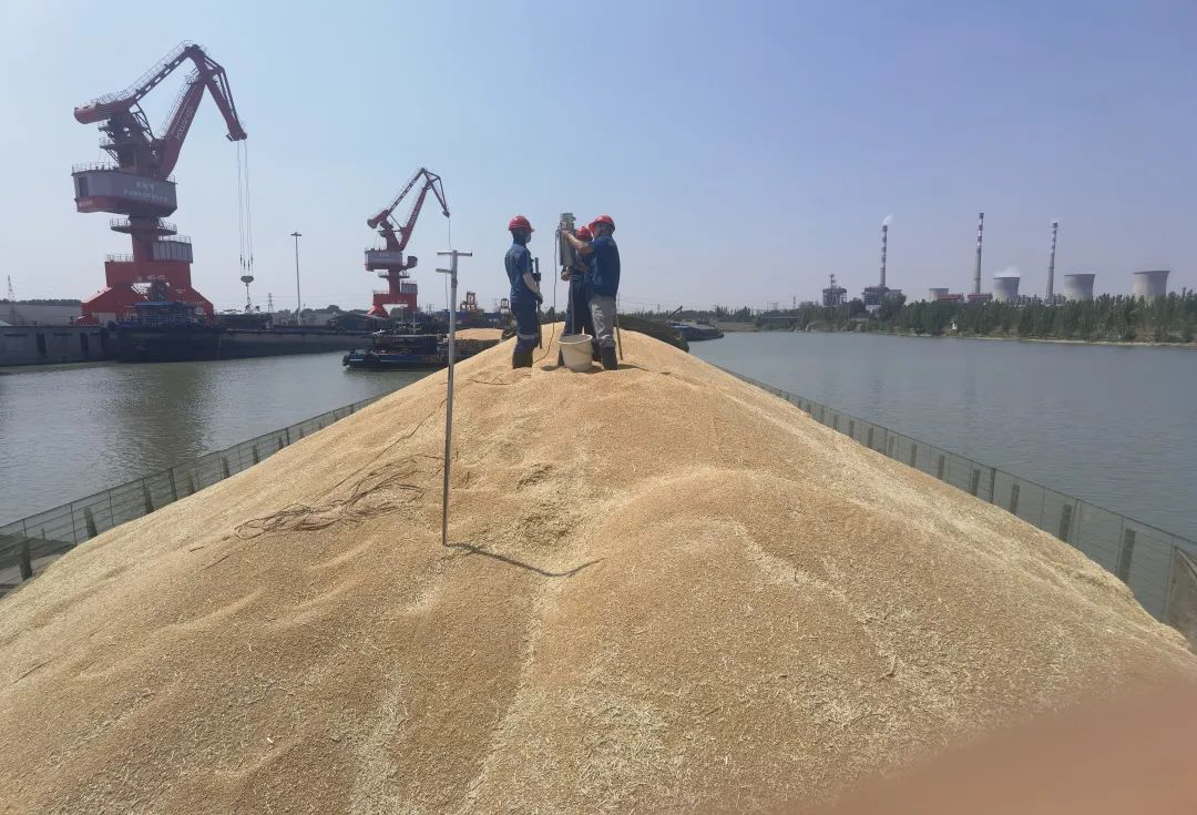 1720408679115329.jpg 00006.jpg