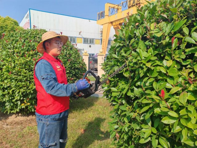 文明实践月丨花园煤矿美化环境来参与，文明实践在行动