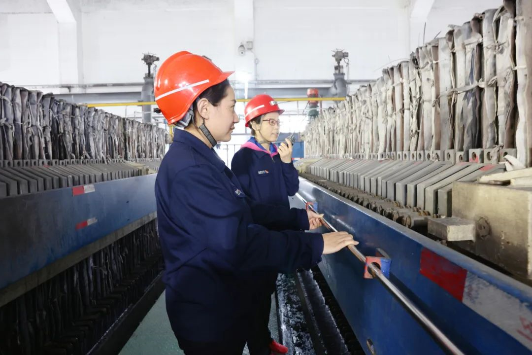 1734174296132950.jpg 0001.jpg