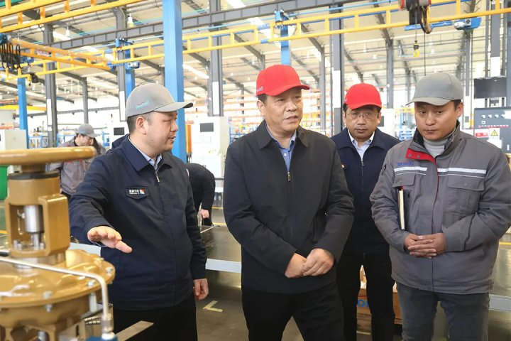 张广宇到精密制造产业园调研指导工作