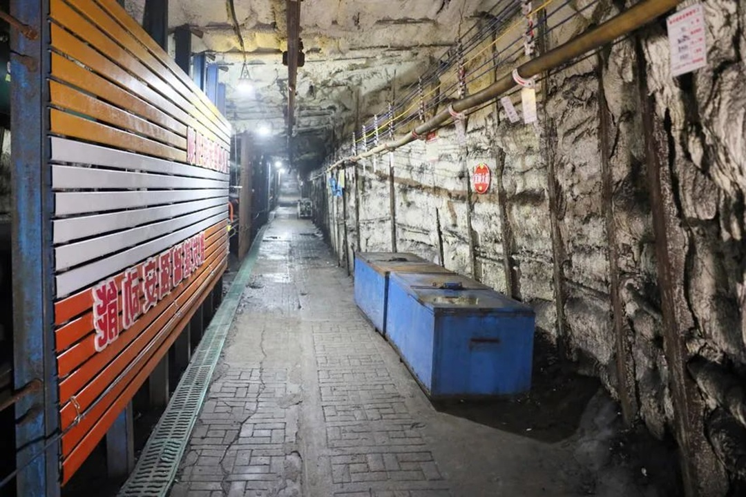 1753239766117003.jpg 004.jpg