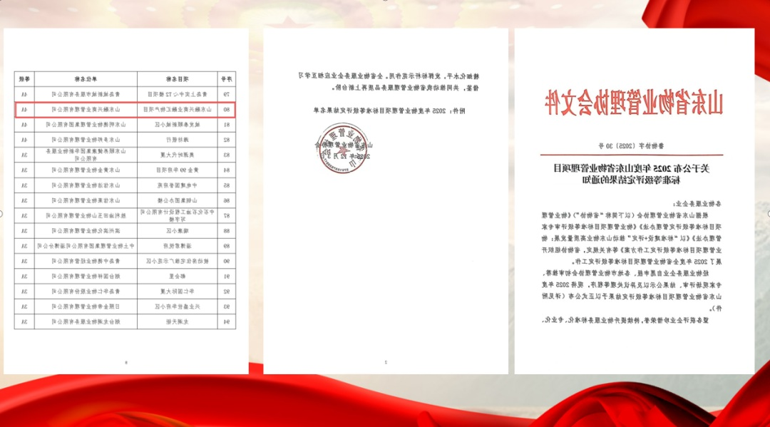 1766452702122283.jpg 004.jpg