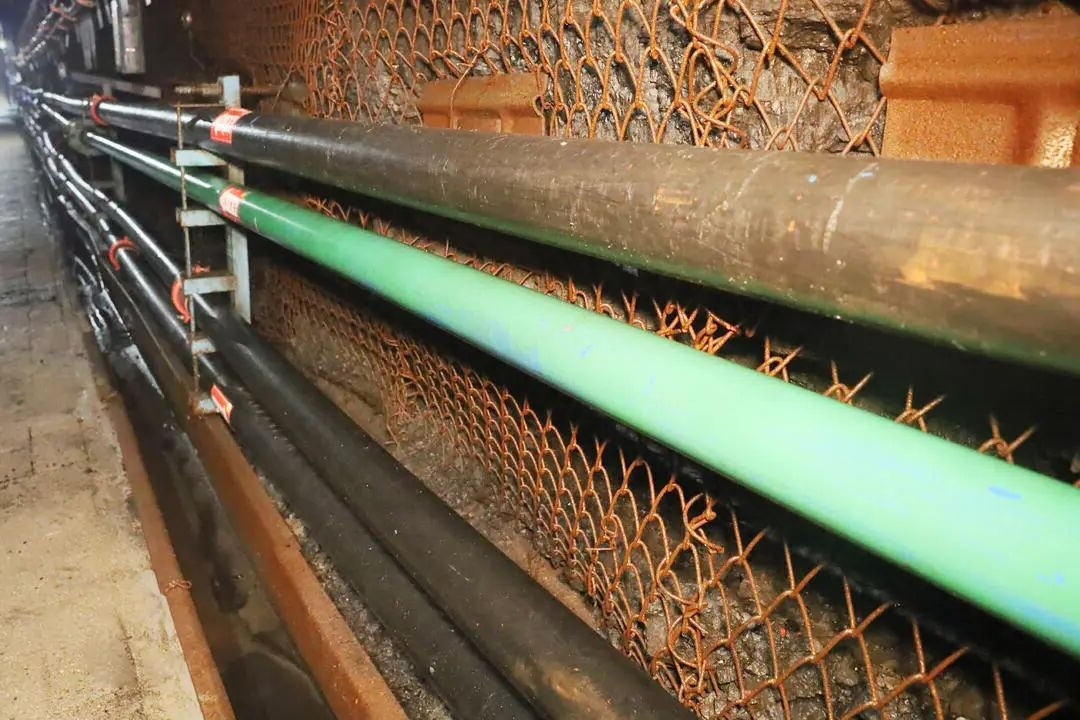 1768359231573656.jpg 03.jpg